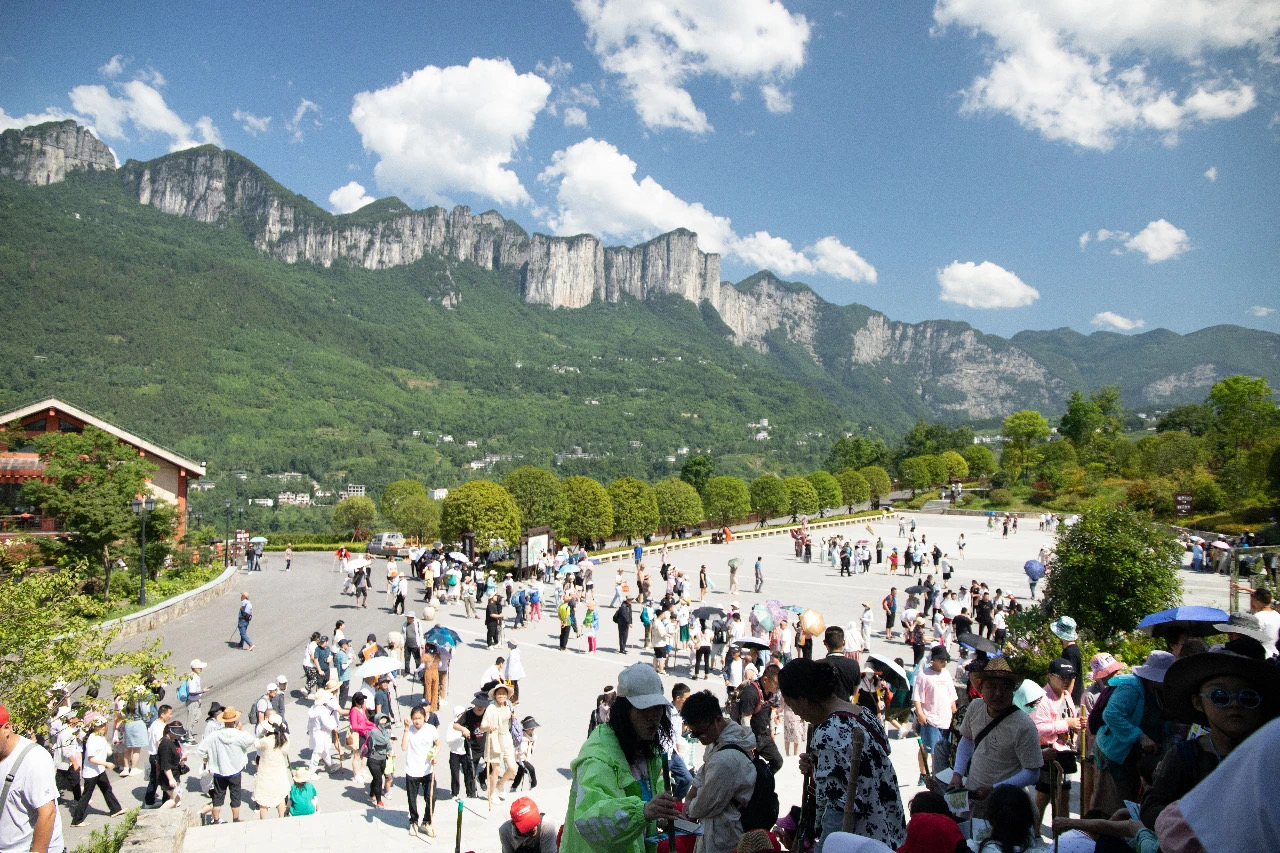 IMG_0156.JPG IMG_0156.JPG