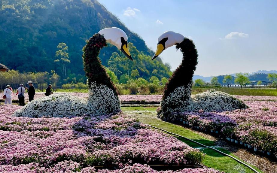 圖片1.jpg 圖片1.jpg