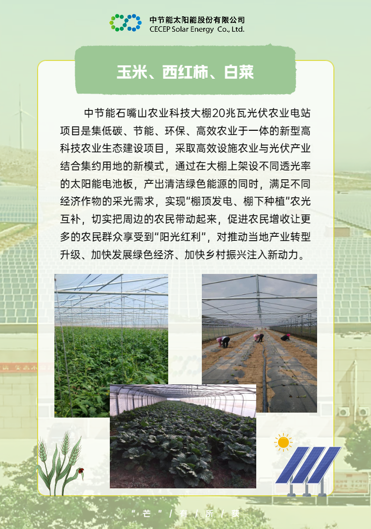 中國節能助力鄉村振興 (3).png