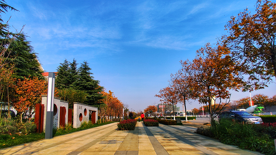 近日，由中國鐵建重慶投資集團生態公司承建的青島平度市城市居住品質提升項目多個“口袋公園”投入使用。圖為平度市”口袋公園“梅園。（師華鵬 攝）