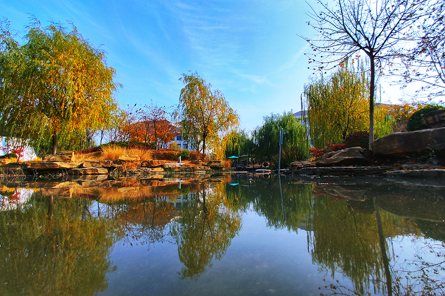 中國鐵建的建設者通過專業設計改造，將隱藏在城市角落，長期以來被忽略遺棄的微小空間轉變成適合公眾日常活動的區域，既實現了土地資源的精細化利用，又改善了城市人居環境。圖為平度市內景觀水系治理、綠化完成后的景色。（師華鵬 攝）