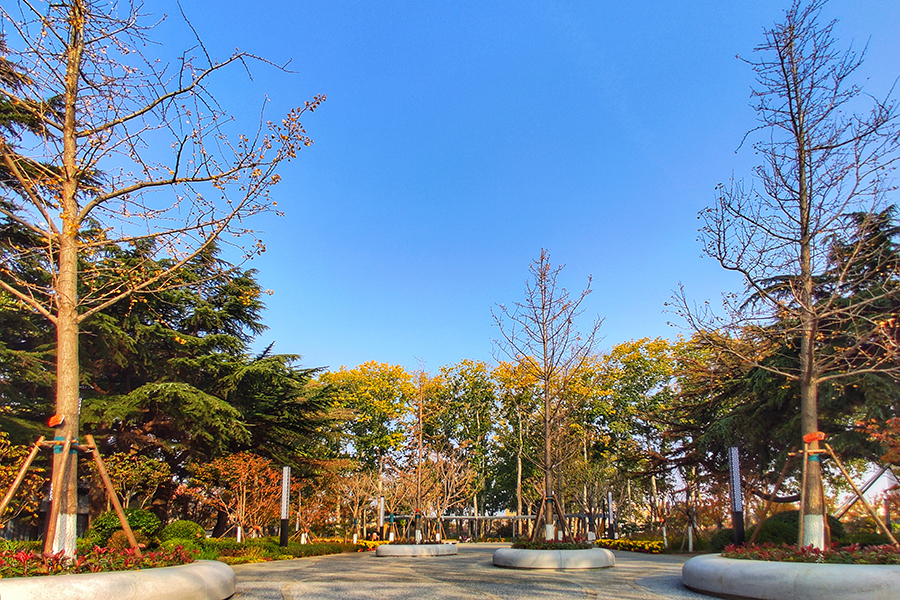 據悉，該項目主要為了服務地區新舊動能轉化與鄉村振興戰略，其投入使用將大大增強該地區“雙招雙引”（招商引資 招才引智）活力，為進一步加快打造青煙濰城市群會客廳和青島輻射帶動半島一體化發展橋頭堡提供有力支撐。圖為平度市品質提升后的市容景觀。（師華鵬 攝）