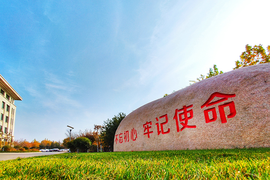 圖為平度市便民服務中心周邊綠化。（師華鵬 攝）