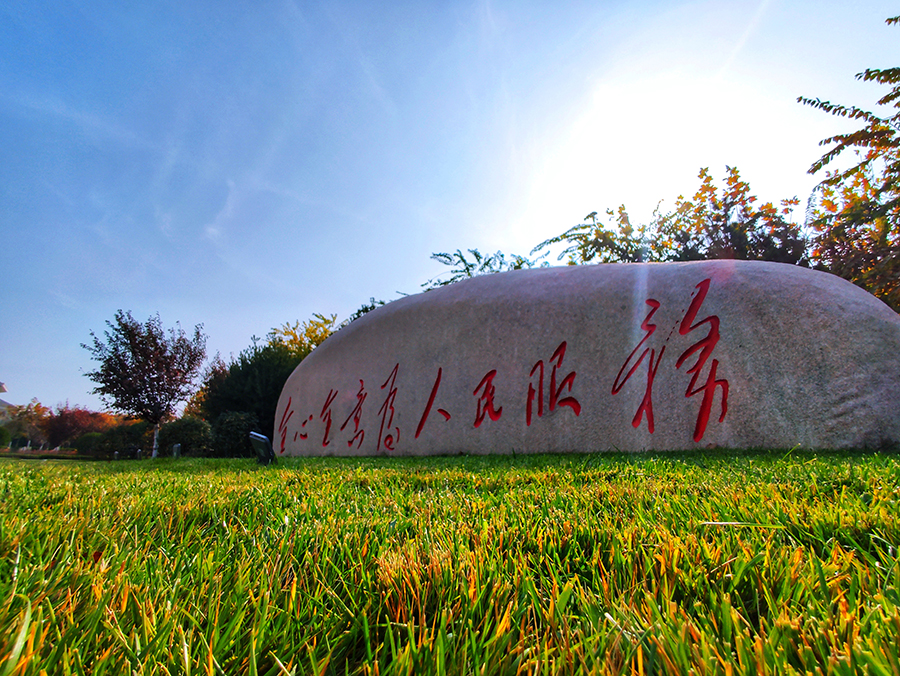 圖為平度市便民服務中心周邊綠化。（師華鵬 攝）