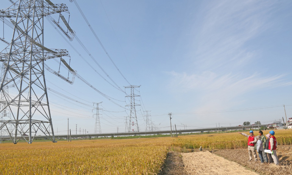 在10月下旬，國網東臺市供電公司全力做好中國國際進口博覽會保供電工作，對東臺市境內1000千伏泰吳Ⅰ/Ⅱ線通道進行特巡，全面排查治理輸電線路通道隱患，重點排查治理外力破壞、交叉跨越等方面的隱患，對線下魚塘、樹竹生長區、通道附近施工、大棚、廣告牌、彩鋼瓦等防護薄弱區域開展隱患深度治理，及時清理通道內易被大風吹起的漂浮物和其他危險品，及時砍伐危及線路安全的樹竹，加大限高裝置、防撞裝置、智能視頻監控裝置等物防、技防應用，確保所有隱患點可控在控。