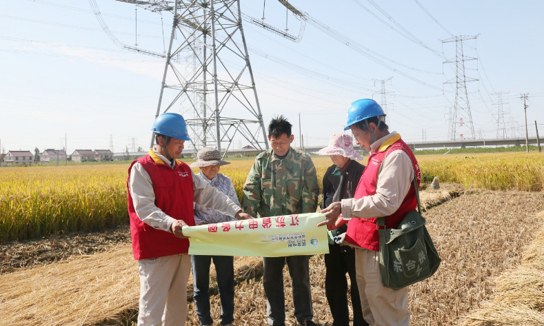 在進博會期間，該公司組織保電人員到線路沿線宣傳《電力法》、《電力設施保護條例》等電力法律法規，向農民發送電力法規、電力設施保護及安全用電知識宣傳畫冊，確保進博會期間電網安全運行，圓滿完成供電保障任務。