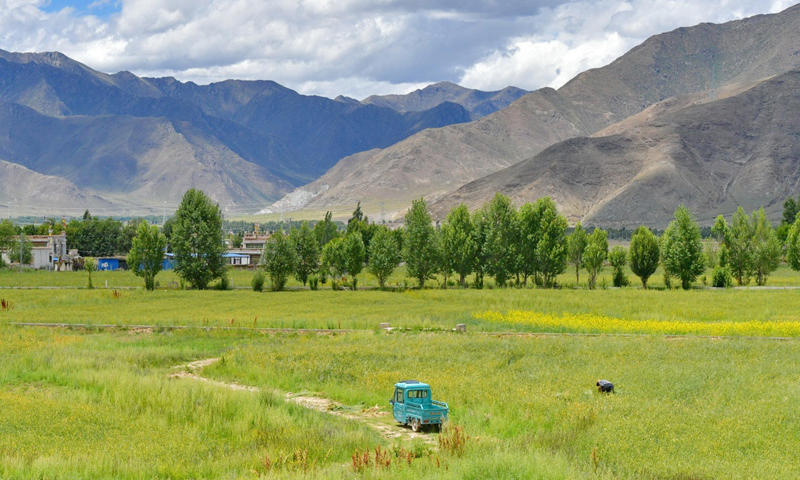 圖為7月16日拍攝的拉林公路沿線田園風光。（新華社記者 張汝鋒 攝）