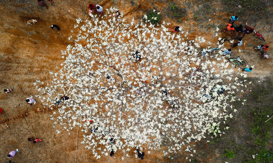 從空中俯瞰在項目空地上玩耍的兒童。