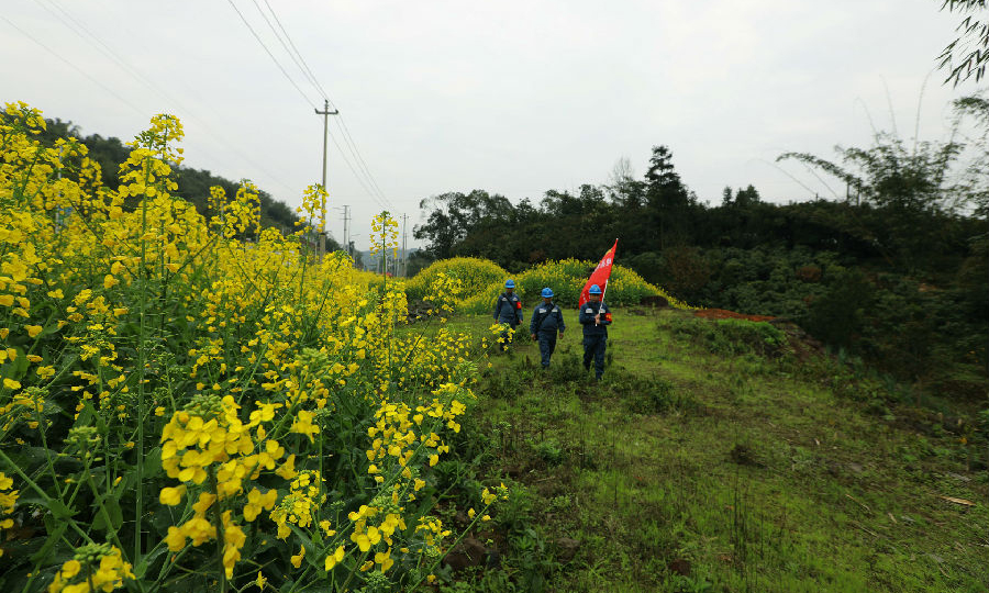 2月24日，南方電網貴州赤水供電局黨員服務隊在赤水市大同鎮田間地頭檢查線路。