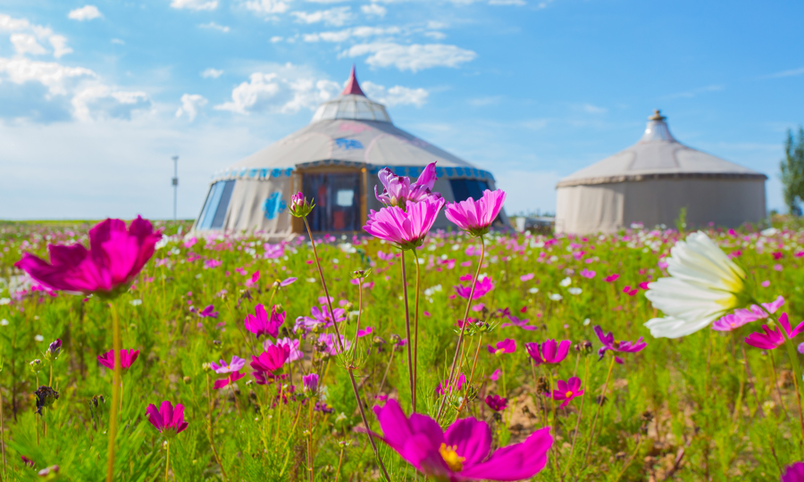 隨著煤礦采區的推進，排土場的綠化復墾區也在不斷跟進，本著開采一方、治理一方的原則，每一塊開采后的土地，最后呈現的模樣都將是草原或良田。圖為復墾區風光。（賈瑞龍 攝）