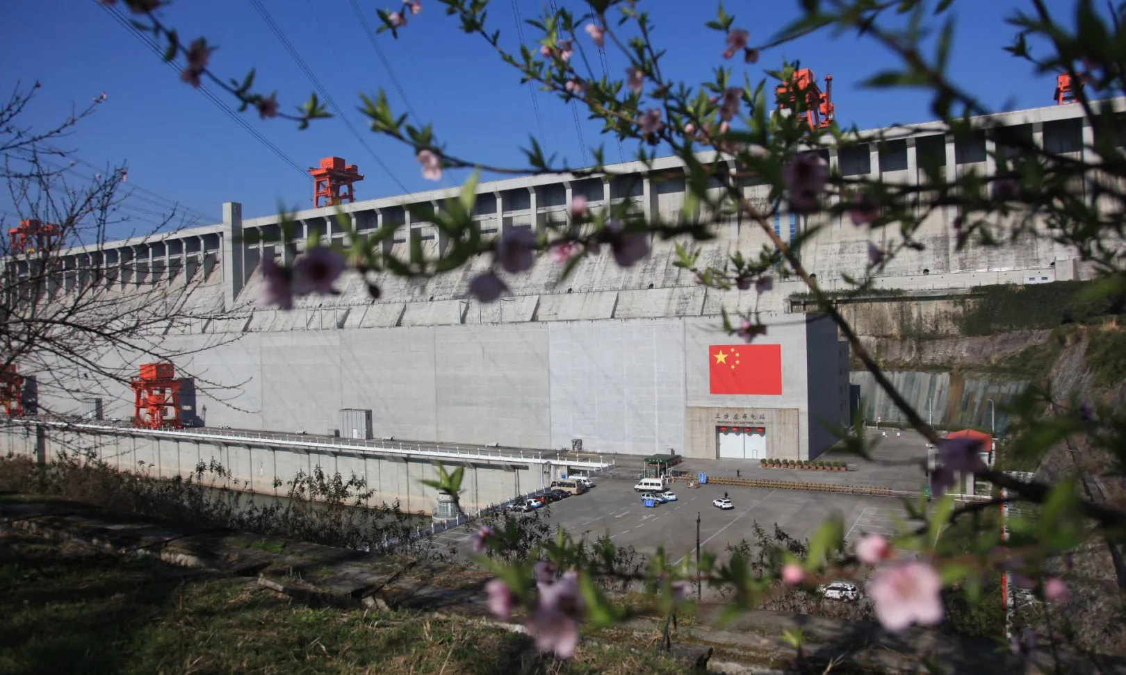 近期，世界最大水利樞紐三峽工程兩岸各色山花開放，春意正濃。中國三峽集團的攝影愛好者紛紛定格這美好的瞬間。（湯偉 攝）