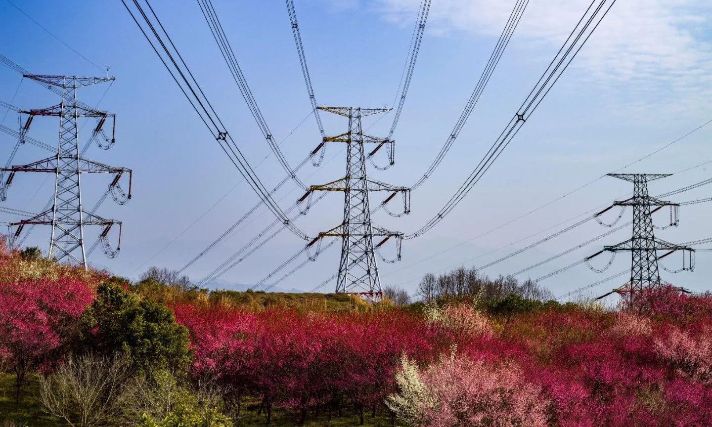 近期，世界最大水利樞紐三峽工程兩岸各色山花開放，春意正濃。中國三峽集團的攝影愛好者紛紛定格這美好的瞬間。（黃正平 攝）