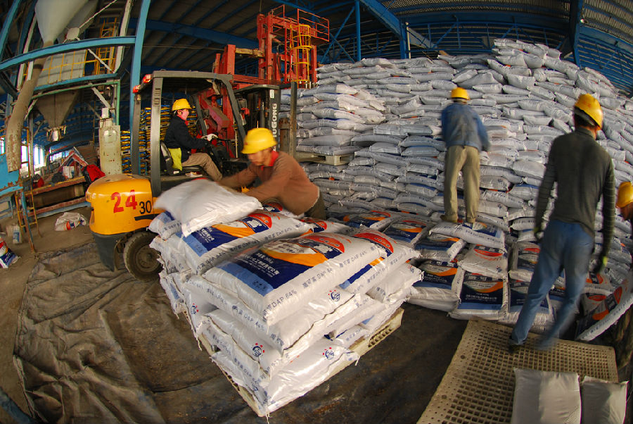 中海化學大峪口公司早在春節期間發運化肥1.61萬噸，克服了鐵路運輸壓力大等困難，每天保證磷復肥2500噸的發運量。此時，黑龍江鶴崗還停留在寒冷中，為了最大限度提高鐵路運力，華鶴公司3條鐵路線路同時裝車發運，單日裝運車皮達到33個，運送尿素1875噸。圖為大峪口公司二期站臺上，裝卸工和叉車工來回穿梭，將化肥碼上托盤，發往全國各地。