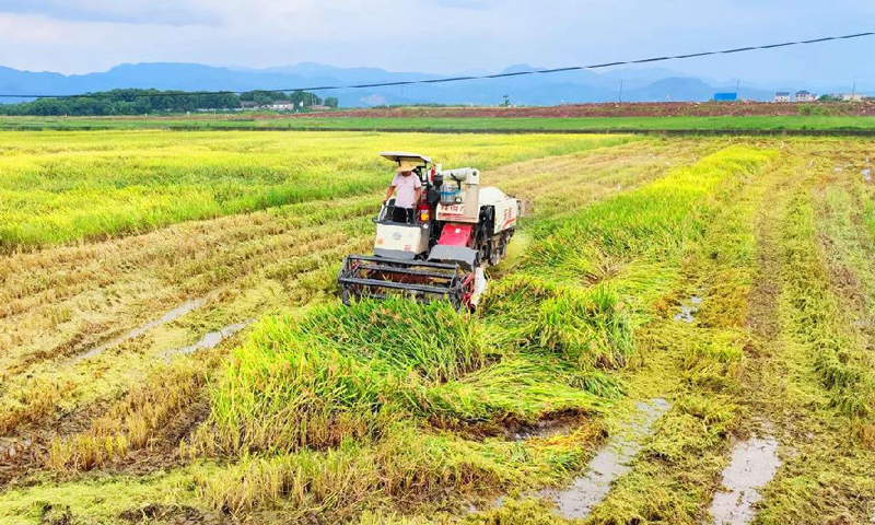 圖為浙江火電參建的浙江金華土地整治項目，墾造面積約2980畝。項目建成后，將實現大規模農業產業規劃和生態友好型循環農業綜合利用開發。