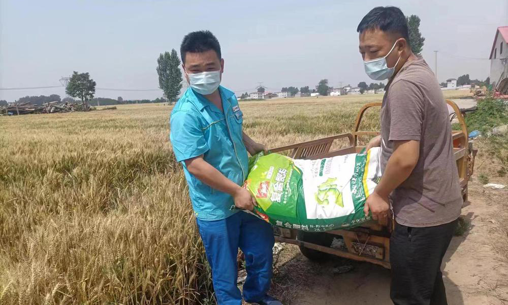 中國石油河北銷售邯鄲分公司積極開展化肥銷售工作，為農戶提供“一站式”保供服務，全天候送肥上門，為該地區夏收夏種提供堅實保障。圖為工作人員將夏種化肥送到用戶田間地頭。張秋穎 攝 