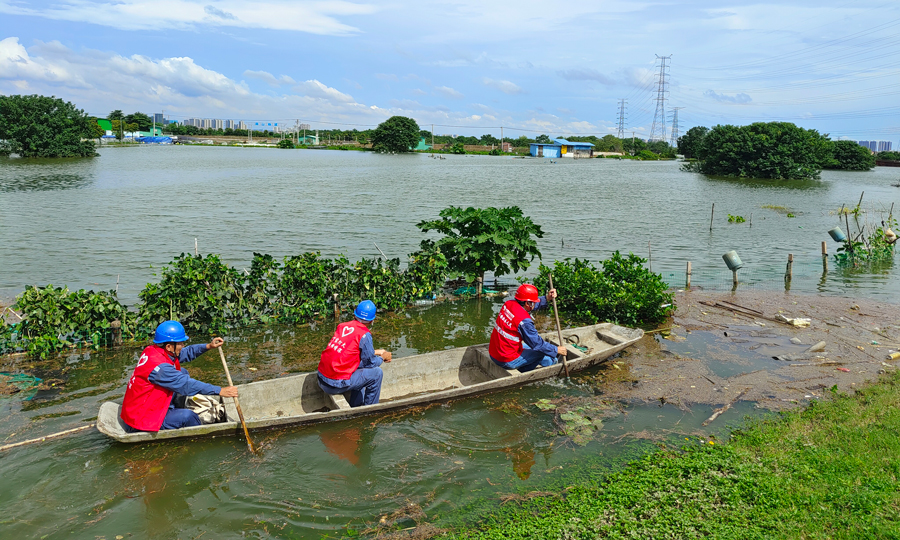 6月16日，廣東佛山順德局樂從所黨員突擊隊撐著小艇，前往大閘村開展線路特巡，保障電網安全運行。嚴智鏗 攝