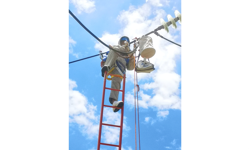 近日，廣東火電組建“迎峰保電”帶電作業突擊隊，對廣東電網重要輸電線路開展帶電檢修巡查工作，作業人員全副武裝，采用多項先進技術和設備開展帶電作業，保證電力設備安全穩定運行。