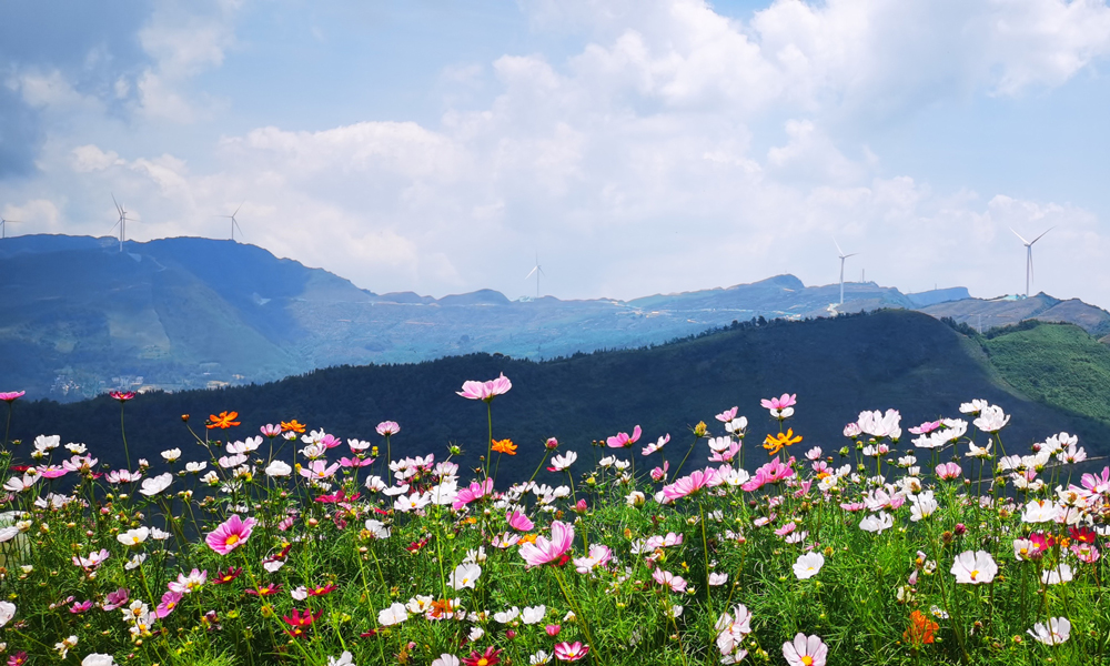 近日，中廣核廣西樂業風電幫扶項目全容量投產，標志著中廣核在樂業地區的風電產業幫扶工程建設任務圓滿完成，為革命老區鄉村振興、能源發展注入新動能。
