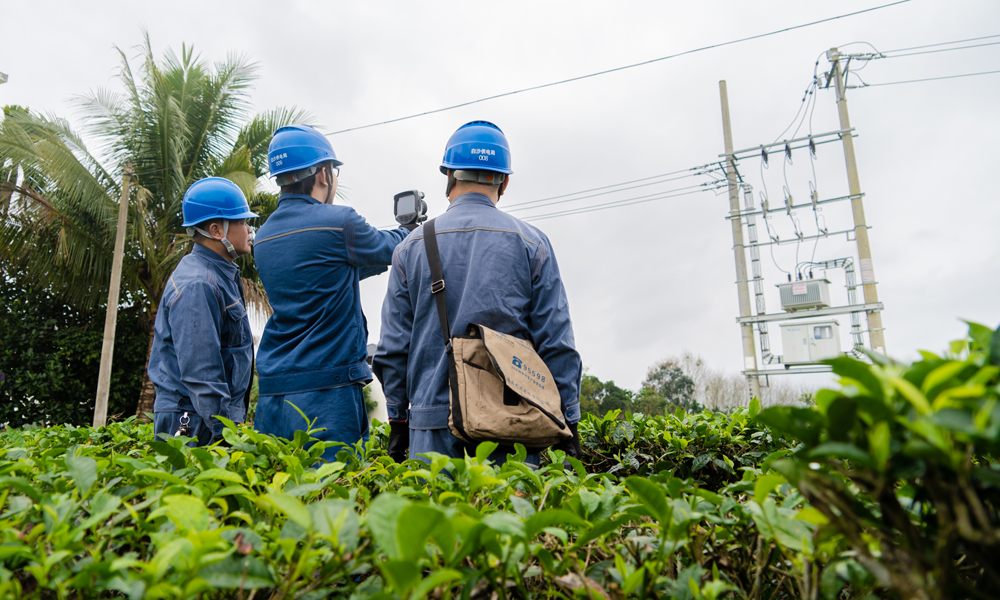 近日，南方電網海南白沙供電局組織專人對供電區域茶廠周圍的用電線路、設備進行特巡特維。余盛本 攝
