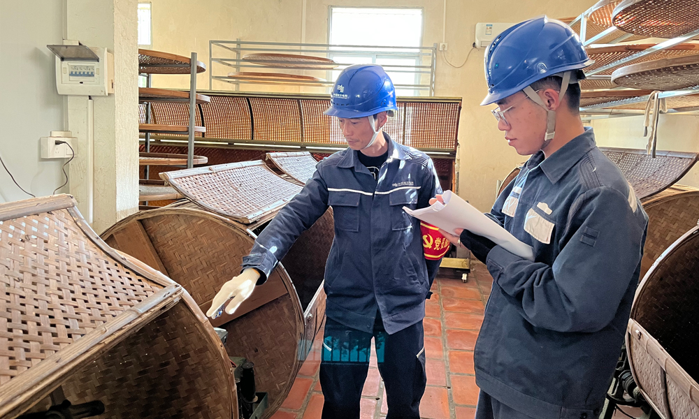 近日，南方電網廣東汕頭潮南供電局的工作人員走進一家茶葉加工廠，對加工車間的用電設備及用電線路進行全面檢查。洪欣穎 黃昔韜 攝