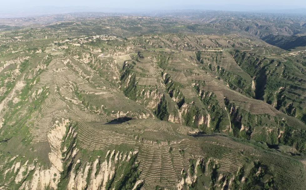 深入踐行“兩山論”，中交二公局在陜西延長縣開展儲備林建設，至今累計種植420余萬棵側柏、油松、樟子松等，生態儲備林和大徑級用材林覆蓋面積達3.8萬余畝，打造了儲林儲碳的優質“雙儲林場”，助力陜西省國家儲備林體系建設和生態保護事業邁上新臺階。