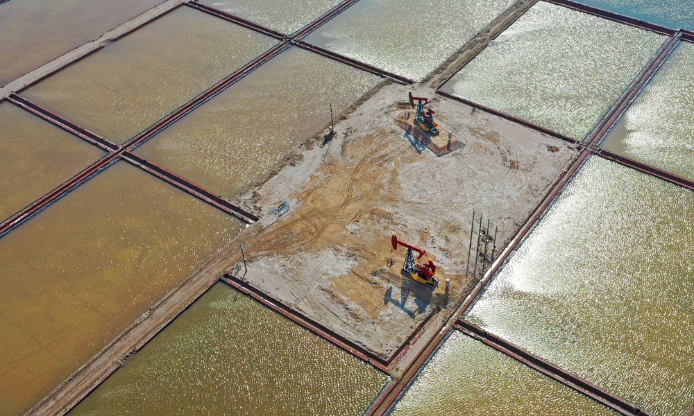 勝利油田五號樁區塊與周邊鹽田形成一幅和諧優美的生態畫卷。