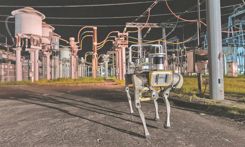 近日，國家電網江蘇南京供電公司運用智能變電站自動巡檢機器人對500千伏東善橋變電站開展夜間巡檢。