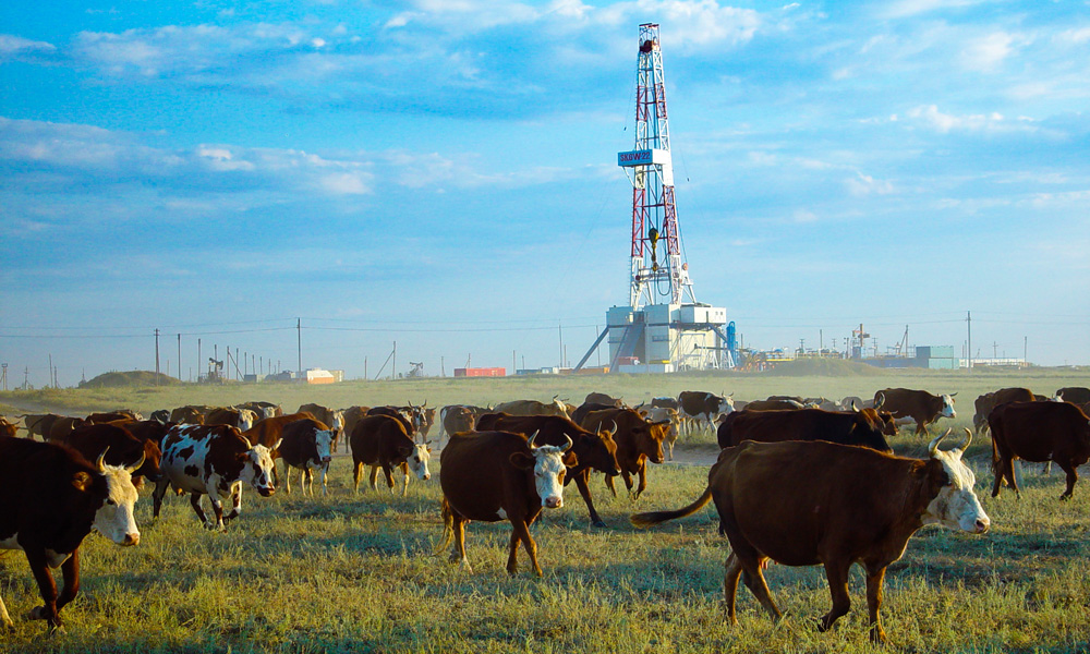 中國石油嚴格遵守業務所在國環境保護法律法規和相關國際準則，堅持“在開發中保護、在保護中開發”的可持續發展原則。圖為中國石油（哈薩克斯坦）阿克糾賓項目讓那若爾油田與草原和諧共存。