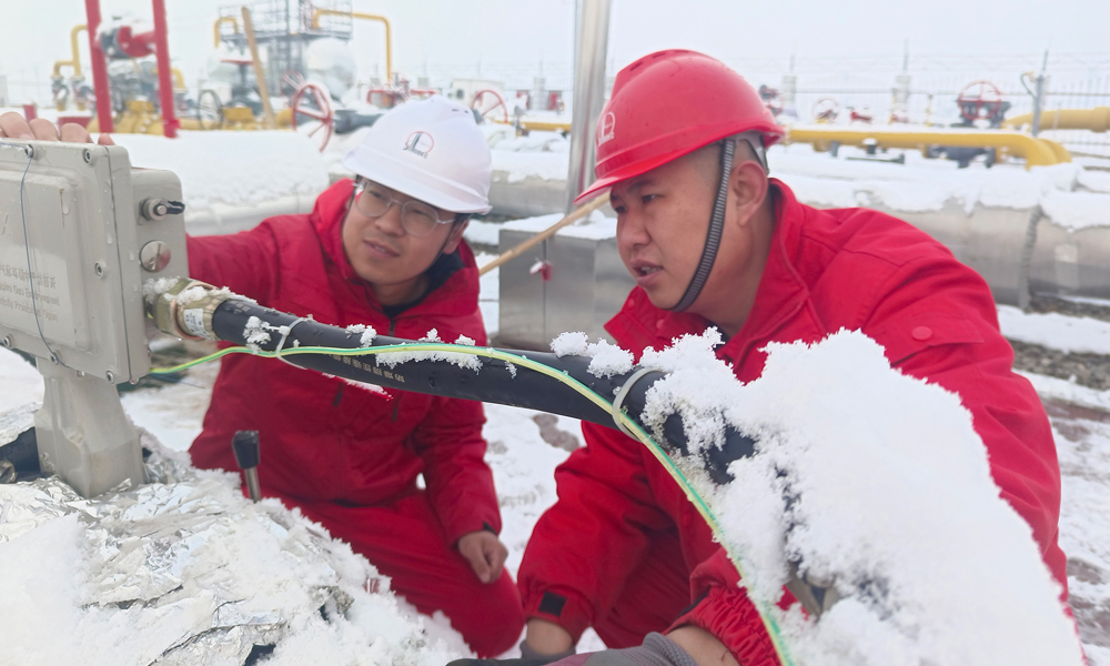 中國石化東北油氣分公司銷售中心員工冒雪查驗計量儀表。