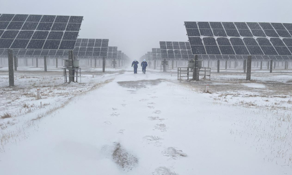 中國節能所屬太陽能新疆區白城領跑者電站運維人員冒雪巡檢線路。