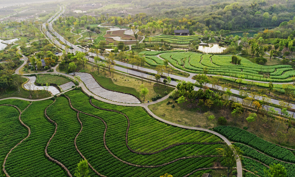 項目按山地、平壩、坡岸系統開展全島生態保護修復和消落帶治理，建設配套的生態設施、綠色建筑、配套設施，新建高峰山連接道西段道路，推進裸露地生態化整治，進一步聚焦生態、聚焦風景，對全島生態修復進行完善提升，突出應用場景，展示生態文明和綠色發展示范。