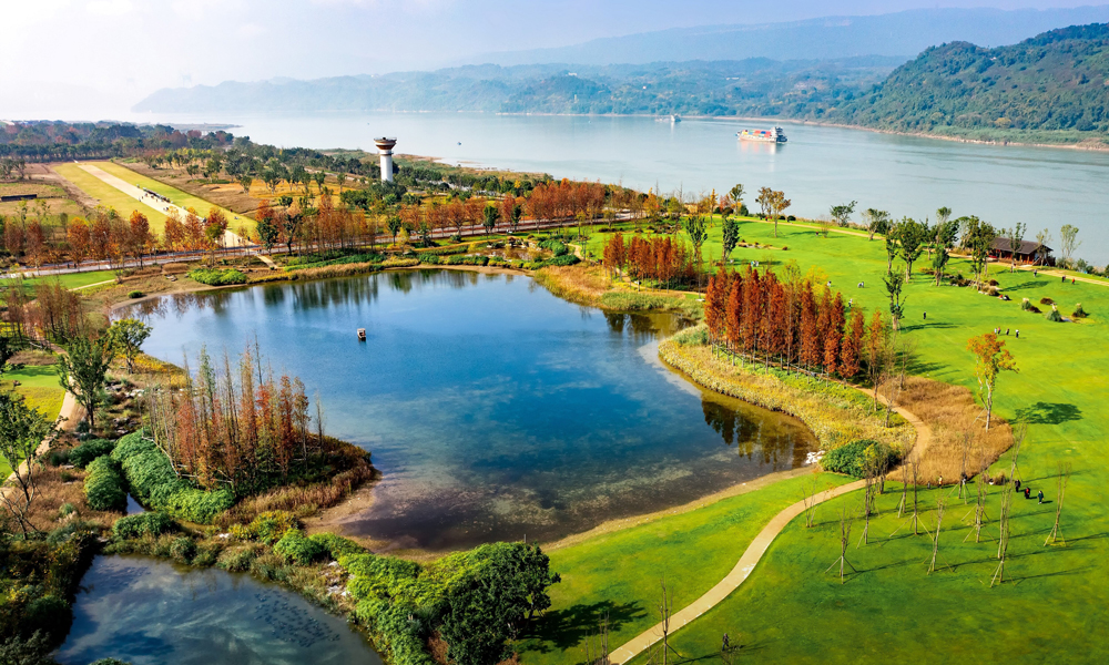 經過一期的生態修復示范和二期的適地性修復，項目團隊已形成特色鮮明的生態修復思想理論技術、產品材料工法和組織實施體系，使廣陽島的生態效益得以進一步凸顯。生態修復后，島內植物由383種增加至627種，動物由310種增加至458種，最大程度還原了消落帶生態系統的原真性和完整性。修復的環島步道全長11千米，四季景色宜人，可以看江、峽、山、島、灣，被重慶市民譽為“最美生態步道”，形成了以消落帶為著力點的山水林田湖草系統修復治理典型示范。