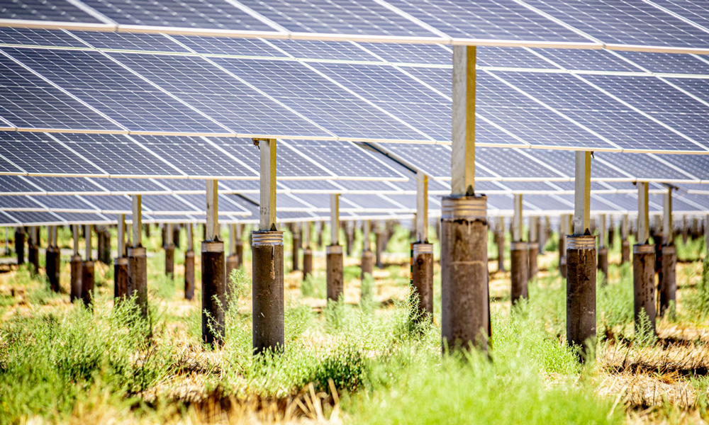 光伏組件采用雙面雙玻，利用光的反射最大限度增加發電量。為達到良好的治沙效果、滿足生態治理需求，建設者將光伏組件中心點提升至距離地面3米，為地表治沙、植被生長和養殖產業發展留足空間。