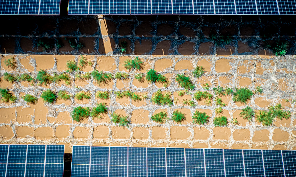 “草方格+播撒草籽”的方式，為“沙戈荒”固沙治沙和植被生長貢獻成功的“國家能源經驗”。