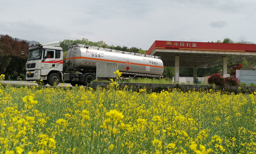 近日，陜西漢中洋縣的萬畝油菜花香氣四溢，在金色的油菜花與鮮艷的寶石花交相輝映下，昆侖物流公司配送車輛為洋縣春耕保供重點加油站配送油品。昆侖物流公司與銷售公司建立聯動保供機制，優化生產組織，提高運行效能，全力保障春耕用油的安全配送。