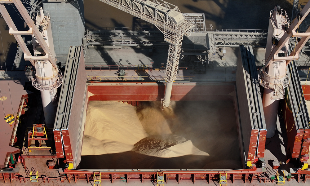 中糧國際是中糧集團旗下主營海外大宗農產品業務的專業化公司，在全球36個國家和地區設有分支機構。在拉美地區，中糧國際的目標是在2025年建立“零毀林”大豆供應鏈。圖為中糧國際在提布斯港裝載首船“零毀林”大豆產品。