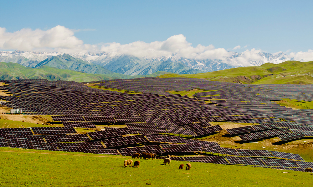 該項目建立了“牧光互補”發展模式?！澳凉饣パa”模式推進了光伏新能源產業綠色低碳發展，加快了生態畜牧業轉型升級，向草原生態良性循環和現代化、綠色、可持續發展轉變，實現了高效養殖與光伏生態修復“雙贏”目標。