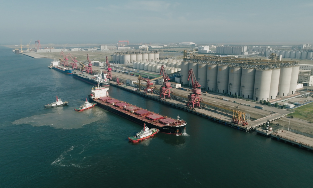 近日，裝載著由中糧集團進口的中國首單“零毀林和零植被破壞”（以下簡稱“零毀林”）巴西大豆的貨輪，經過一個多月的航行，自巴西的巴卡雷納港抵達中國天津港。