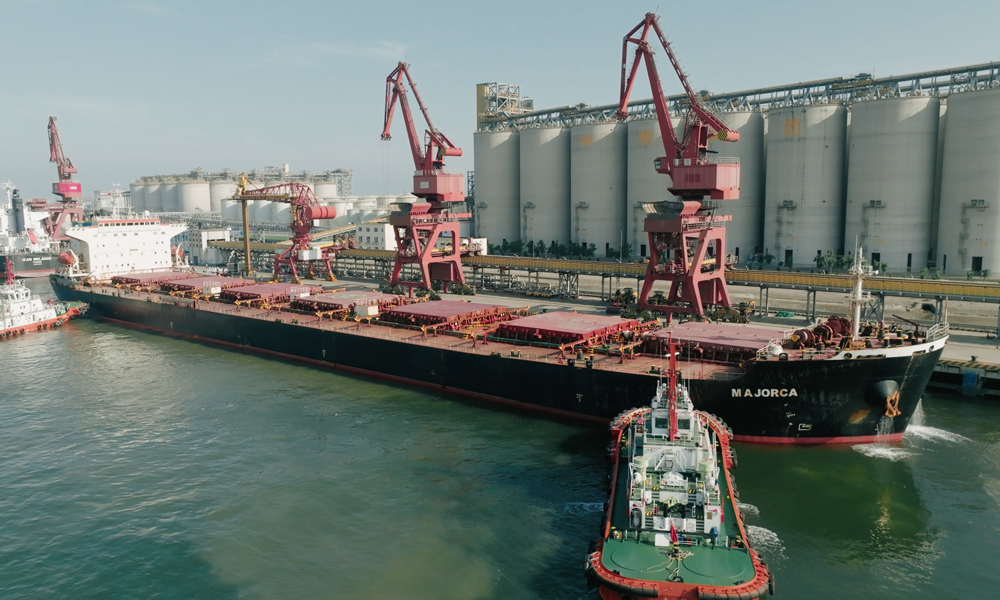 “零毀林”的理念主要源于世界自然基金會（WWF）提出的“2030年實現全球森林零毀林”的發展目標?！傲銡Я帧贝蠖梗褪谴蠖狗N植地不涉及任何毀林或植被破壞情況而生產出的大豆。據悉，歐盟在去年出臺了《歐盟零毀林法案》，要求銷售至歐盟市場的大宗農產品不得產自于毀林開荒的土地，以減緩全球變暖并保護生物多樣性。