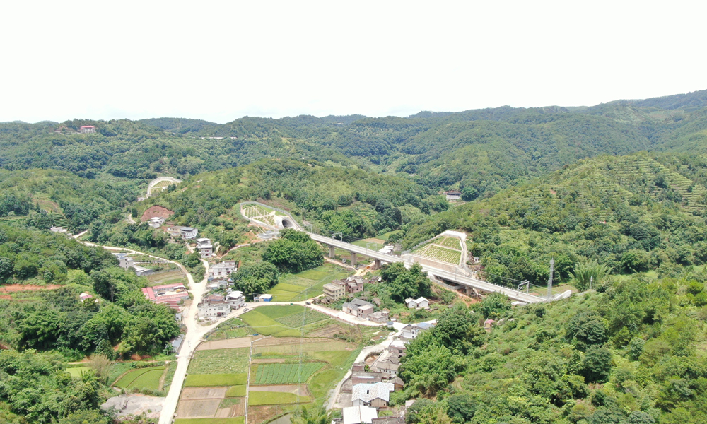 龍龍高鐵梅龍段位于廣東省東部，正線全長約93.98公里，設計行車時速350公里，途經梅州、河源等城市，全線設梅州西、興寧南、五華、龍川西4個車站。項目通車后，梅州到廣州、深圳等粵港澳大灣區中心城市通行時間將縮短至1.5小時左右。圖為龍龍高鐵梅龍段苦竹山1號隧道。