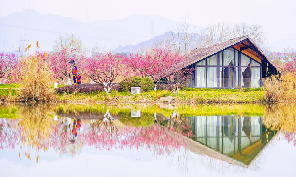 國家電網浙江杭州供電公司工作人員對供電設備展開排查。