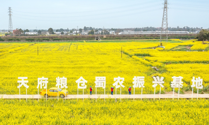 國家電網四川電力（成都崇州）連心橋黨員服務隊隊員在天府糧倉開展線路特巡。