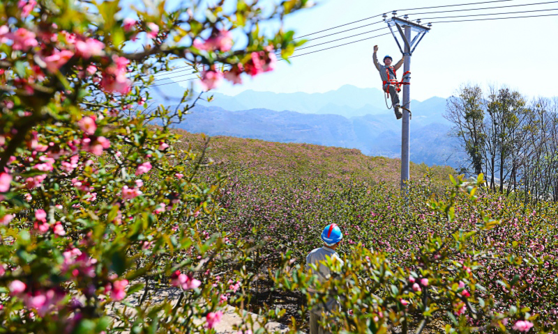 國家電網湖北宜昌長陽縣供電公司工作人員對農業生產線路開展特巡特護。