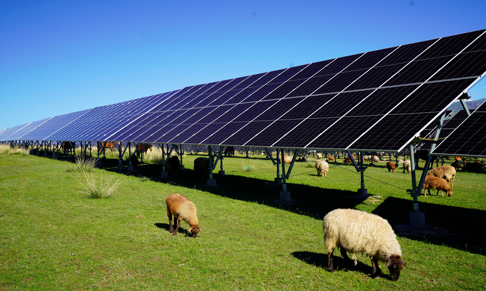 中國綠發(fā)新疆中綠電尼勒克400萬千瓦風電光伏項目。