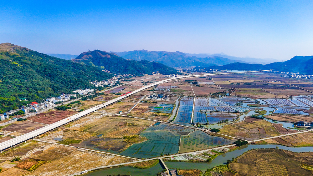 工程建設(shè)過程中，建設(shè)團隊攻克多項技術(shù)難關(guān)。針對南湖片區(qū)20米厚淤泥地質(zhì)，采用多樣化鉆孔平臺支撐形式和長護筒跟進技術(shù)，提前兩月完成756根超長樁基；在龍涵橋現(xiàn)澆箱梁施工中，運用智能監(jiān)測系統(tǒng)實現(xiàn)合龍標高零誤差。通過建立智慧建設(shè)管理系統(tǒng)，隧道施工采用可視化監(jiān)管、3D激光斷面儀等先進技術(shù)，形成全方位的質(zhì)量管控矩陣。圖為瑞蒼高速公路南湖1號特大橋。