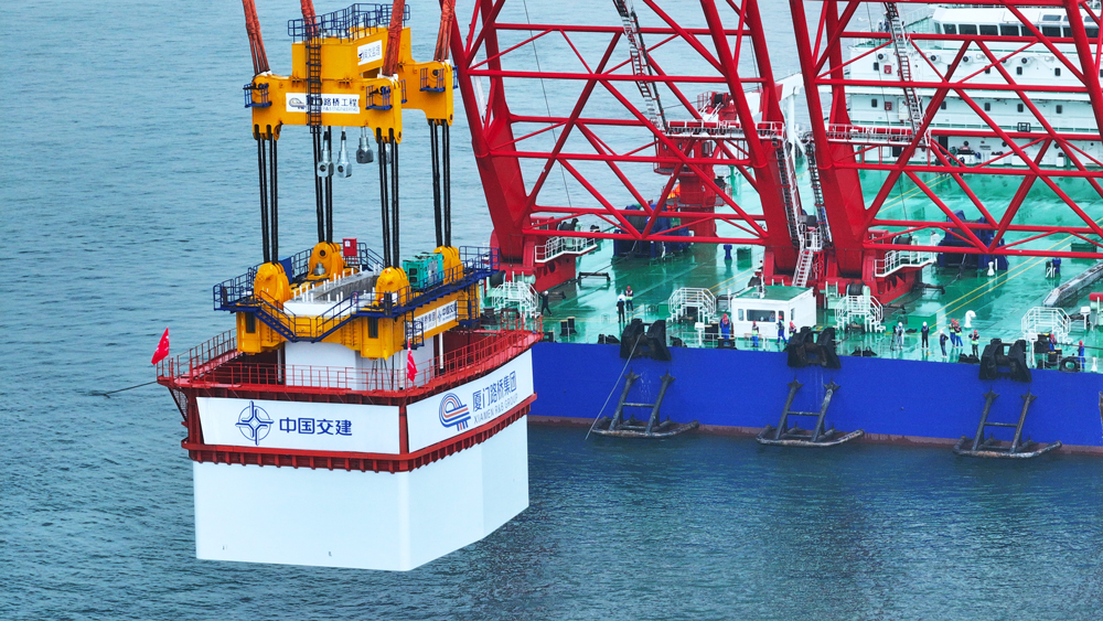 廈金大橋(廈門段)項(xiàng)目是構(gòu)建廈金“同城生活圈”的先手棋。項(xiàng)目全線建成通車后，將與翔安機(jī)場(chǎng)、廈金航線共同構(gòu)建起對(duì)臺(tái)海陸空立體交通新格局，對(duì)福建省探索海峽兩岸融合發(fā)展新路徑，建設(shè)兩岸融合發(fā)展示范區(qū)具有重要意義。