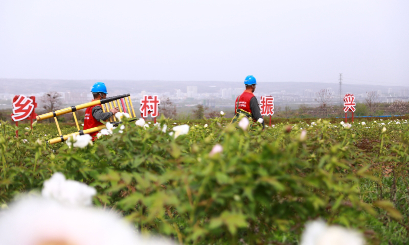 國家電網河南洛陽洛寧縣供電公司工作人員在牡丹園提供服務。