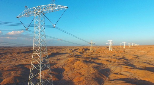 世界環境日:“國網綠”為綠水青山賦能