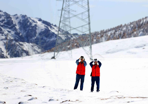 積極應對寒潮 保民生溫暖度冬
