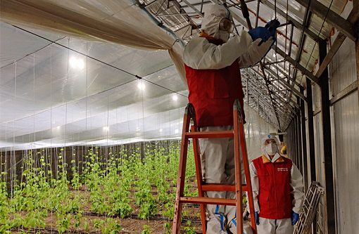 戰疫情 保春耕 白山松水播撒希望